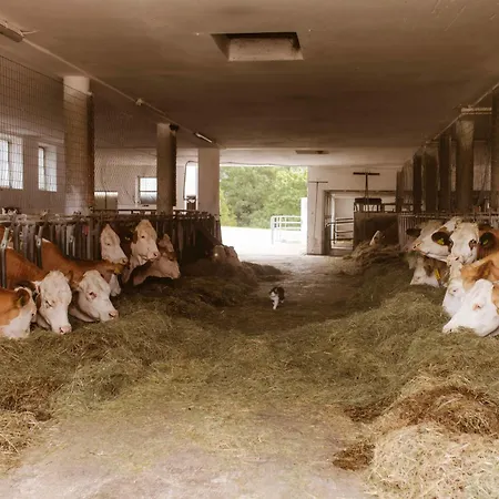 Lejlighed Knappenhof