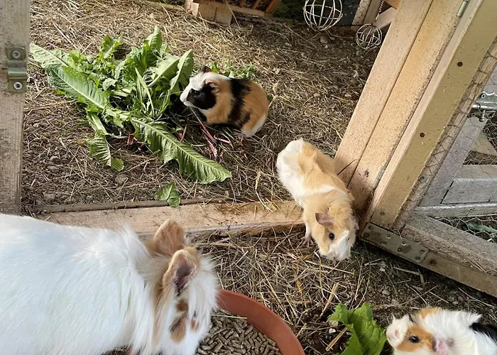 Appartamento Knappenhof