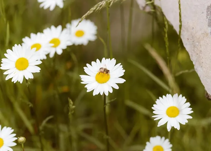 Knappenhof Appartamento