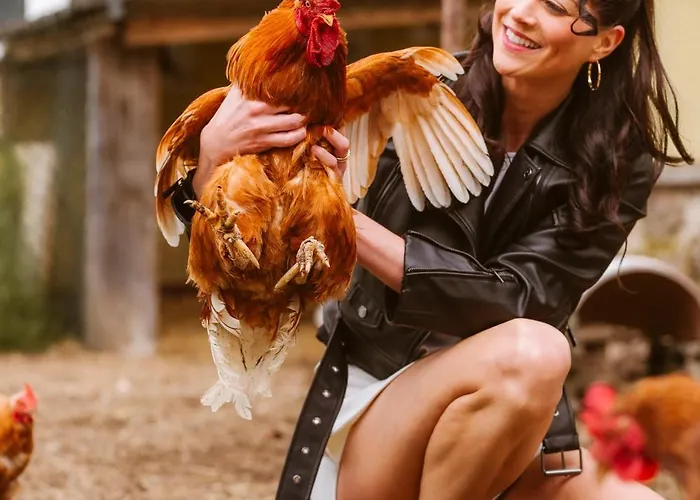 Appartamento Knappenhof *