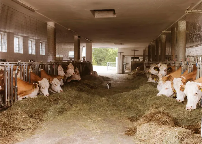 Appartamento Knappenhof